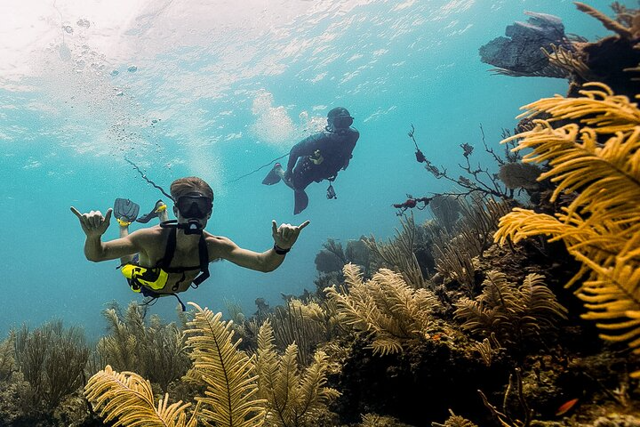 Payment & Tax Responsibility